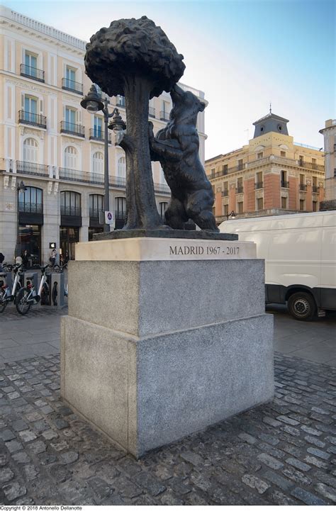 hay osos en madrid|Estatua del Oso y el Madroño, 50 años en Sol